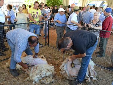 XXVIII FIRA DE MANACOR