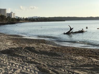 RETIRA DOS ARBRES SUBMERGITS A LA PLATJA DE S’ILLOT