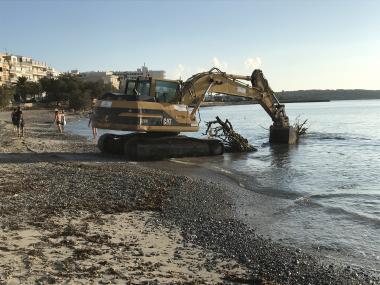 RETIRA DOS ARBRES SUBMERGITS A LA PLATJA DE S’ILLOT