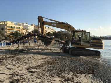RETIRA DOS ARBRES SUBMERGITS A LA PLATJA DE S’ILLOT