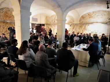 EL NOU TIB ARRIBA A MANACOR 