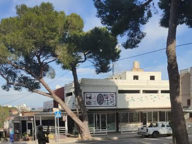 Batuda contra la processionària per part de l'Associació de Caçadors de Manacor. 