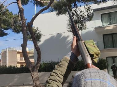 Batuda contra la processionària per part de l'Associació de Caçadors de Manacor. 