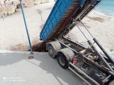 Aportació de posidònia a la platja de Porto Cristo. 