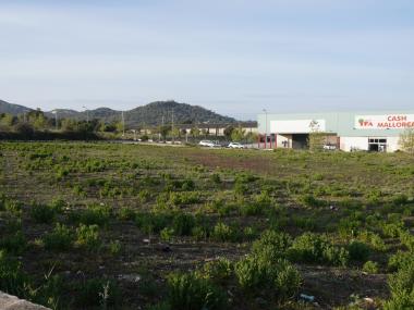 El nou skatepark es construirà al polígon agroalimentari. 