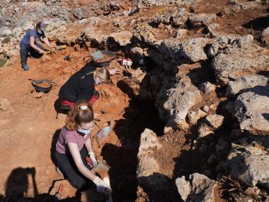 Feines d'excavació. 