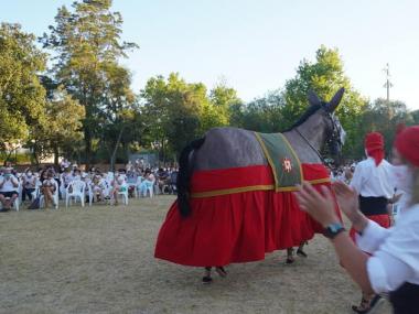 La Mulassa ha tornat a ballar, després de dos anys. 