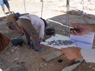 El paviment excavat enguany. 