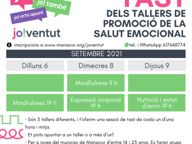 Tast de tallers de Promoció de la salut emocional. 