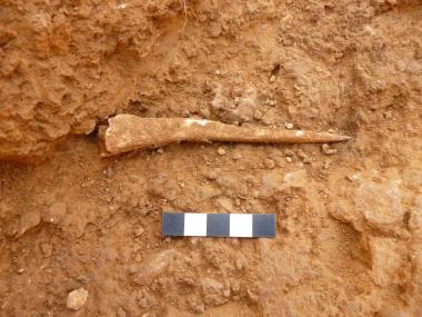 Punxó localitzat al jaciment de sa Ferradura durant la desena campanya d'excavació. 