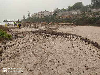 L’empresa municipal de serveis de Manacor, SAM, fa feina per resoldre els incidents causats per la DANA aquest cap de setmana a les platges del municipi