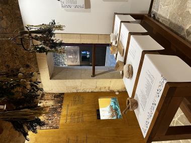 La nova sala medieval cristiana del Museu d'Història de Manacor. 
