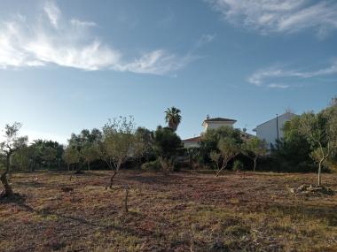 Tasques realitzades contra incendis a Cala Murada. 