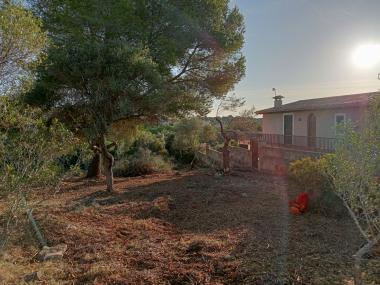 Tasques realitzades contra incendis a Cala Murada. 