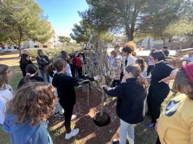 Arbre dels desitjos de s'Illot. 