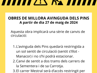 Obres de millora de l'avinguda dels Pins