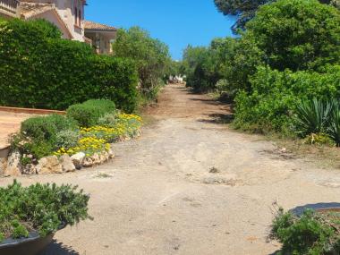 Neteja a la primera línia de Cala Morlanda. 