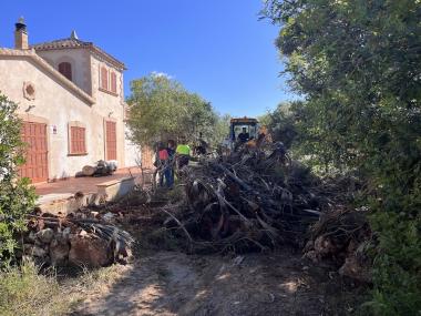 Neteja a la primera línia de Cala Morlanda. 