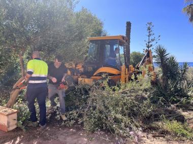 Neteja a la primera línia de Cala Morlanda. 
