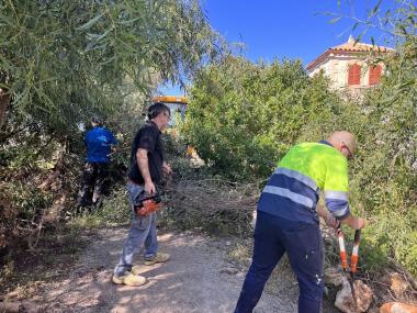 Neteja a la primera línia de Cala Morlanda. 