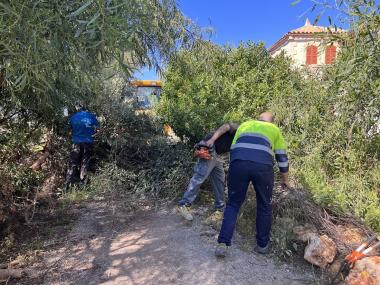 Neteja a la primera línia de Cala Morlanda. 