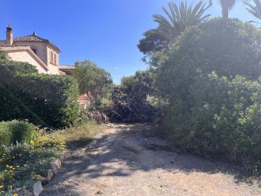 Neteja a la primera línia de Cala Morlanda. 