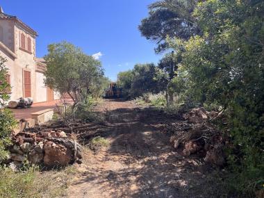 Neteja a la primera línia de Cala Morlanda. 