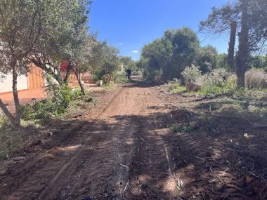 Neteja a la primera línia de Cala Morlanda. 