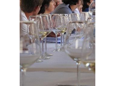 FIRES I FESTES 2010. I TAST COMENTAT DE VINS DE MANACOR.