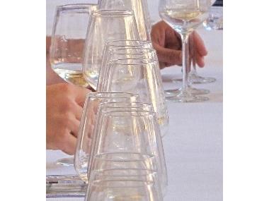FIRES I FESTES 2010. I TAST COMENTAT DE VINS DE MANACOR.