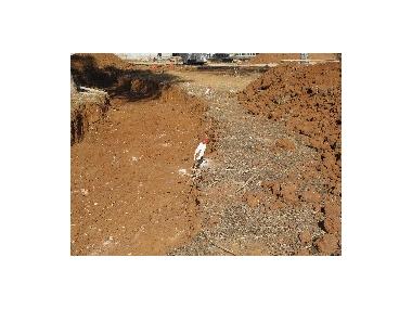 VISITA I SEGUIMENT DE LES OBRES DE LA PLAÇA DES SOL I SA LLUNA A PORTO CRISTO