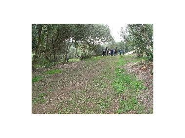 FI DE CURS TALLER D'OCUPACIÓ ES RIUET