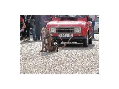 VIII FIRA DE VEHICLES D'OCASIÓ A MANACOR