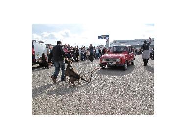 VIII FIRA DE VEHICLES D'OCASIÓ A MANACOR
