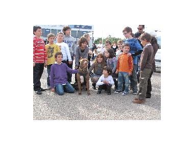 VIII FIRA DE VEHICLES D'OCASIÓ A MANACOR