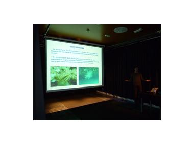 Presentat l'estudi sobre l'estat de la posidonia a Porto Cristo