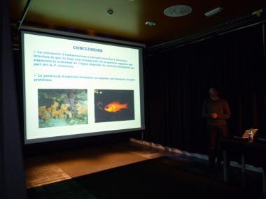 PRESENTACIÓ ESTUDI DE POSIDÒNIA 