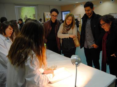 L'IES MANACOR CELEBRA UNA NOVA EDICIÓ DE  LA FIRA 'EXPERIMENTA'
