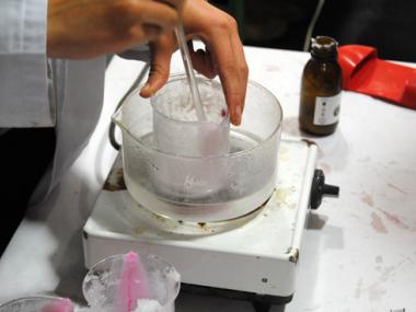 L'IES MANACOR CELEBRA UNA NOVA EDICIÓ DE  LA FIRA 'EXPERIMENTA'