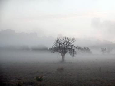 RELACIÓ DE GUANYADORS I FINALISTES  DEL I CONCURS  DE FOTOGRAFIA NATURALISTA 2014
