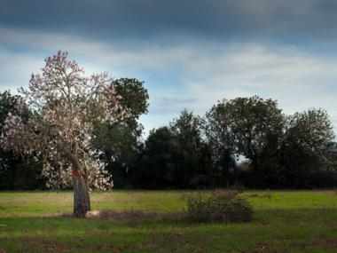 RELACIÓ DE GUANYADORS I FINALISTES  DEL I CONCURS  DE FOTOGRAFIA NATURALISTA 2014