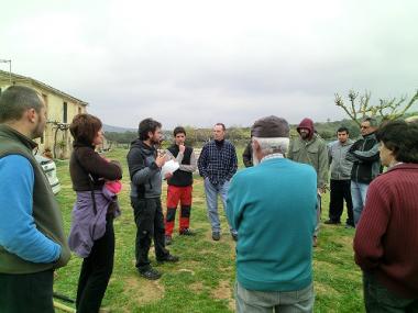 TALLER DE PODA A MANACOR