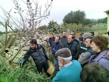 TALLER DE PODA A MANACOR