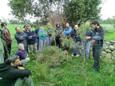 TALLER DE PODA A MANACOR