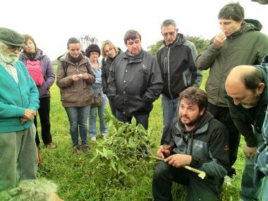 TALLER DE PODA A MANACOR