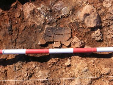 Jornada de portes obertes al jaciment arqueològic de Sa Ferradura