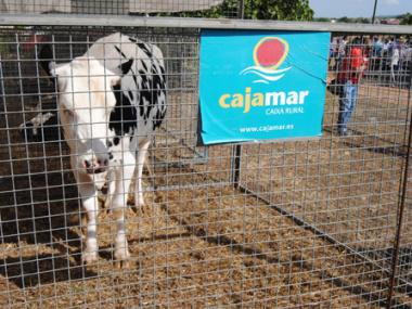 MILERS DE PARTICIPANTS A LA FIRA AGRÍCOLA, RAMADERA, ARTESANAL I INDUSTRIAL DE MANACOR