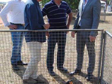 MILERS DE PARTICIPANTS A LA FIRA AGRÍCOLA, RAMADERA, ARTESANAL I INDUSTRIAL DE MANACOR