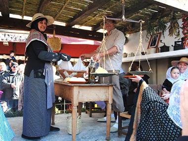 RESULTATS BENEÏDES SANT ANTONI 2015
