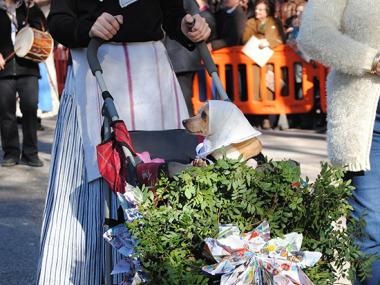 RESULTATS BENEÏDES SANT ANTONI 2015